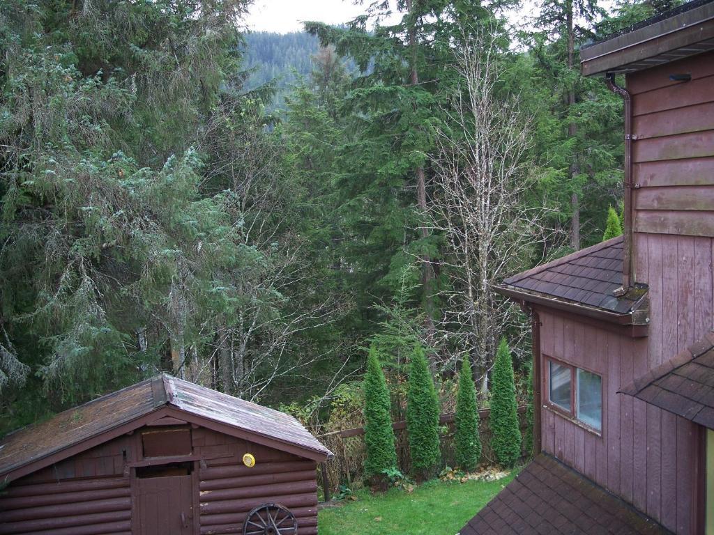 Tall Trees Bed & Breakfast Prince Rupert Cameră foto